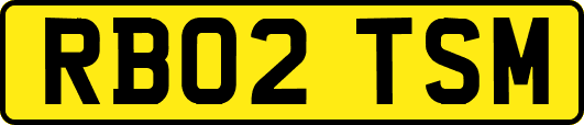 RB02TSM