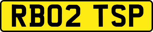 RB02TSP