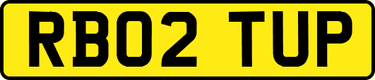 RB02TUP