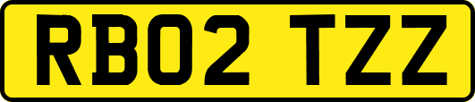 RB02TZZ