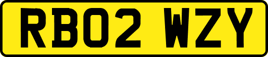 RB02WZY