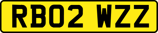 RB02WZZ