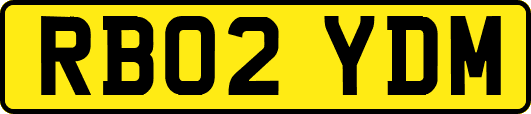 RB02YDM