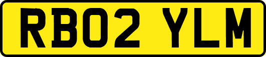 RB02YLM