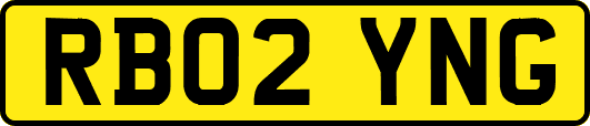 RB02YNG