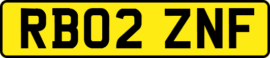 RB02ZNF