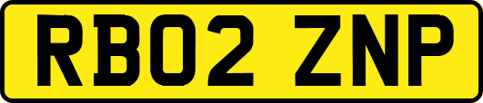 RB02ZNP