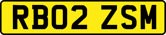 RB02ZSM