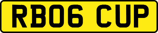 RB06CUP