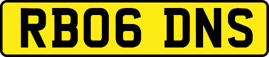 RB06DNS