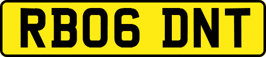 RB06DNT
