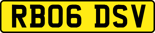 RB06DSV