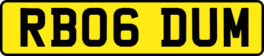 RB06DUM