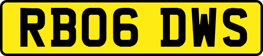 RB06DWS