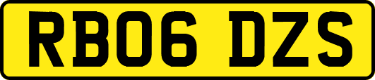 RB06DZS