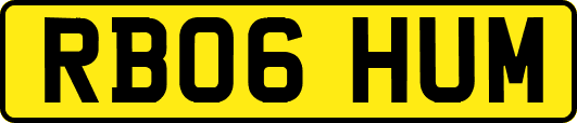 RB06HUM
