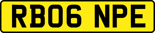 RB06NPE