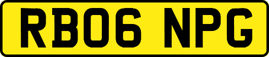 RB06NPG