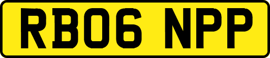 RB06NPP