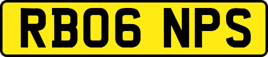 RB06NPS