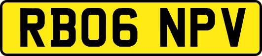 RB06NPV