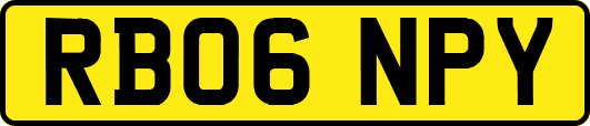 RB06NPY