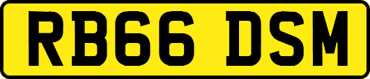 RB66DSM