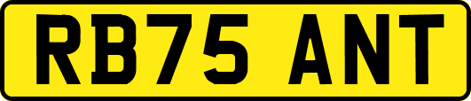 RB75ANT