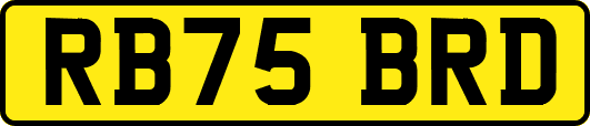 RB75BRD