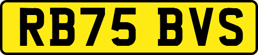 RB75BVS