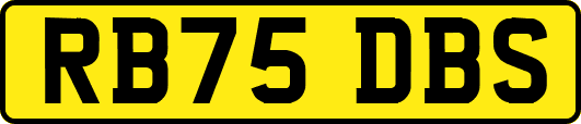 RB75DBS