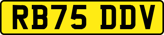 RB75DDV