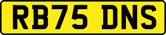 RB75DNS