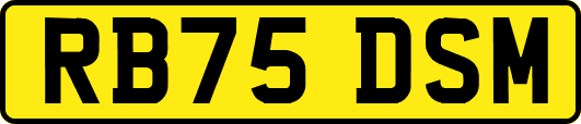 RB75DSM