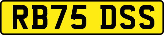 RB75DSS