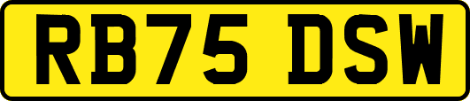 RB75DSW
