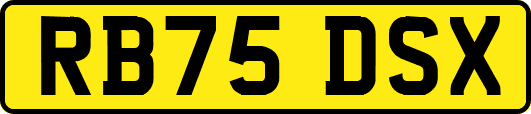 RB75DSX