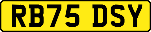 RB75DSY
