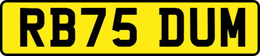 RB75DUM