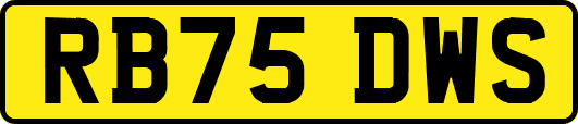 RB75DWS