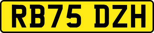 RB75DZH