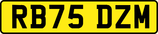 RB75DZM