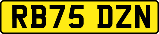 RB75DZN