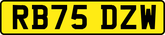 RB75DZW