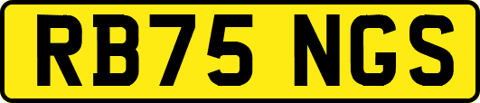 RB75NGS