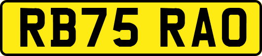 RB75RAO