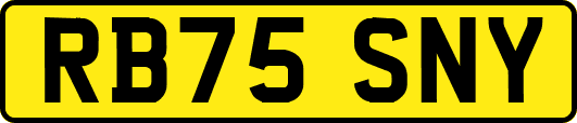 RB75SNY