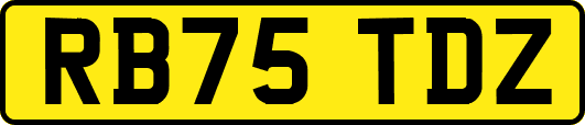 RB75TDZ