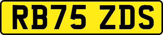 RB75ZDS