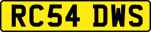 RC54DWS